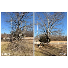 Rapid-Recovery-Storm-Debris-Cleanup-In-Oxford-MS 1